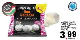 Interspar Mozzarella di latte di bufala mandara senza lattosio offerta