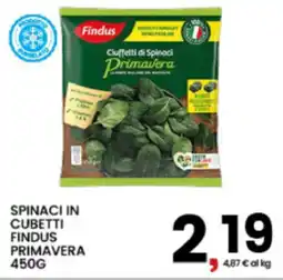 Interspar Spinaci in cubetti findus primavera offerta