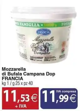Docks Cash&Carry Mozzarella di Bufala Campana Dop FRANCIA offerta