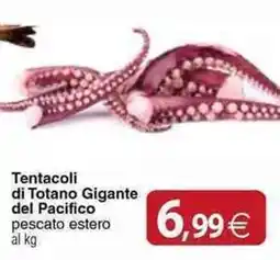 Docks Cash&Carry Tentacoli di Totano Gigante del Pacifico offerta