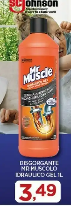 Idraulico gel disgorgante