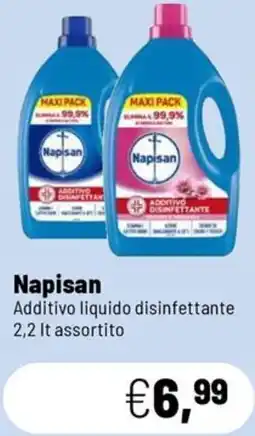 Caddy's Napisan Additivo liquido disinfettante offerta