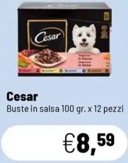 Caddy's Cesar Buste in salsa offerta