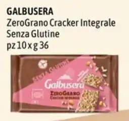 Emisfero GALBUSERA ZeroGrano Cracker Integrale Senza Glutine offerta