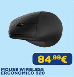 Euronics hp Mouse wireless ergonomico 920 offerta