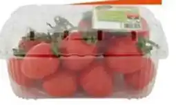 Emisfero Pomodoro piccadilly offerta