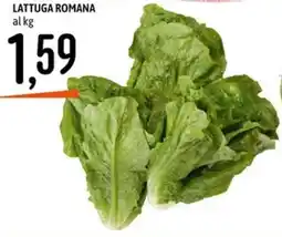 Emisfero Lattuga romana offerta