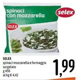 Emisfero SELEX spinaci mozzarella e formaggio surgelato offerta