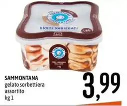 Emisfero SAMMONTANA gelato sorbettiera offerta