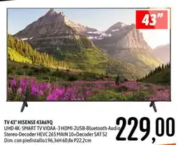 Emisfero TV 43" HISENSE 43A69Q offerta