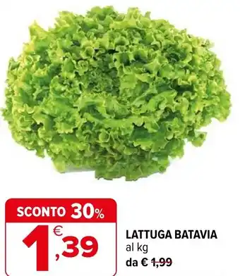Lattuga batavia