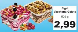Alvama Sigel Vaschetta Gelato offerta