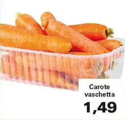 Alvama Carote vaschetta offerta