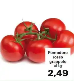 Alvama Pomodoro rosso grappolo offerta