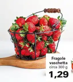 Alvama Fragole vaschetta offerta