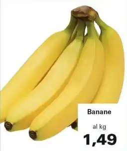 Alvama Banane offerta