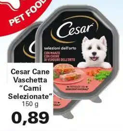 Alvama Cesar Cane Vaschetta "Cami Selezionate" offerta