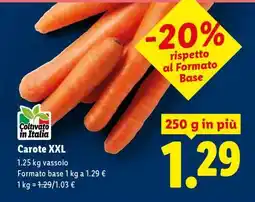 Lidl Carote XXL offerta