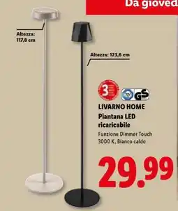 Lidl LIVARNO home Piantana LED ricaricabile offerta