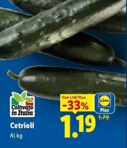 Lidl Cetrioli offerta