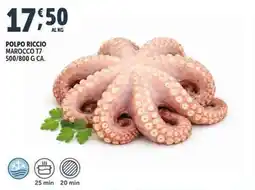 Deco Supermercati Polpo riccio marocco T7 offerta