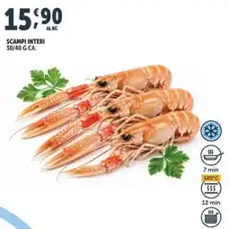 Deco Supermercati Scampi interi offerta