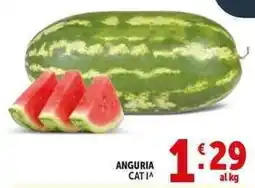 Deco Supermercati Anguria offerta
