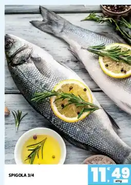Interspar Spigola 3/4 offerta