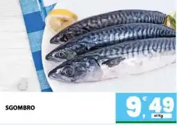Interspar Sgombro offerta