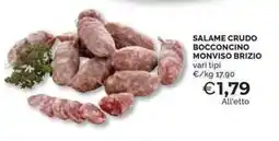 Mercatò Salame crudo bocconcino monviso BRIZIO offerta