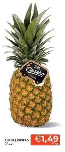 Mercatò Ananas ORSERO offerta