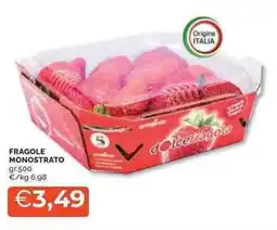 Mercatò Fragole monostrato offerta