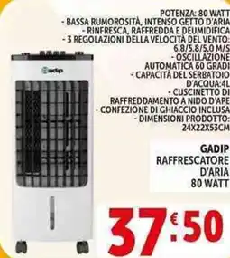 Deco Supermercati Gadip raffrescatore d'aria 80 watt offerta