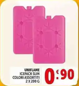 Deco Supermercati Uniflame icepack slim offerta