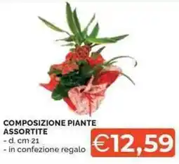 Mercatò Composizione piante offerta