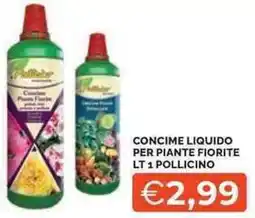 Mercatò Concime liquido per piante fiorite pollicino offerta