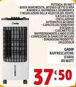 Deco Supermercati Gadip raffrescatore d'aria 80 watt offerta