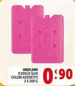 Deco Supermercati Uniflame icepack slim offerta