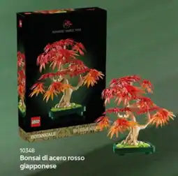 Comet Lego Bonsai di acero rosso giapponese offerta