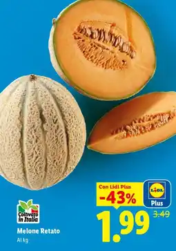 Lidl Melone Retato offerta