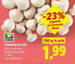 Lidl Champignon XXL offerta