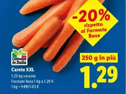 Lidl Carote XXL offerta