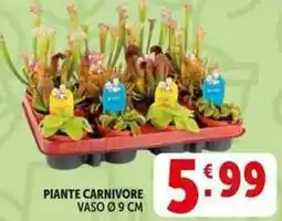 Deco Supermercati Piante carnivore vaso Ø9 cm offerta