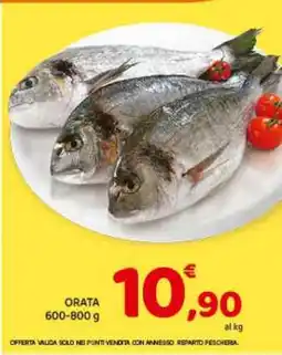 Conad Orata offerta