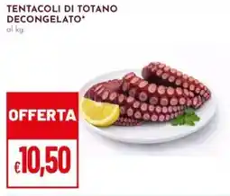 Pan Tentacoli di totano decongelato offerta