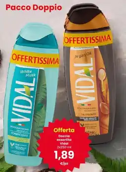 Interspar Doccia Vidal offerta
