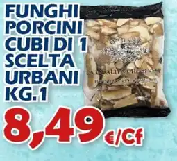 Mercogel Funghi porcini cubi di 1 scelta urbani offerta