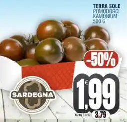 Vicino a te supermercati Terra sole pomodoro kamonium offerta