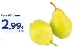 Sigma Pere Williams offerta