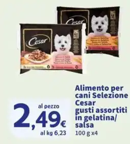 Sigma Alimento per cani Selezione Cesar in gelatina/ salsa offerta